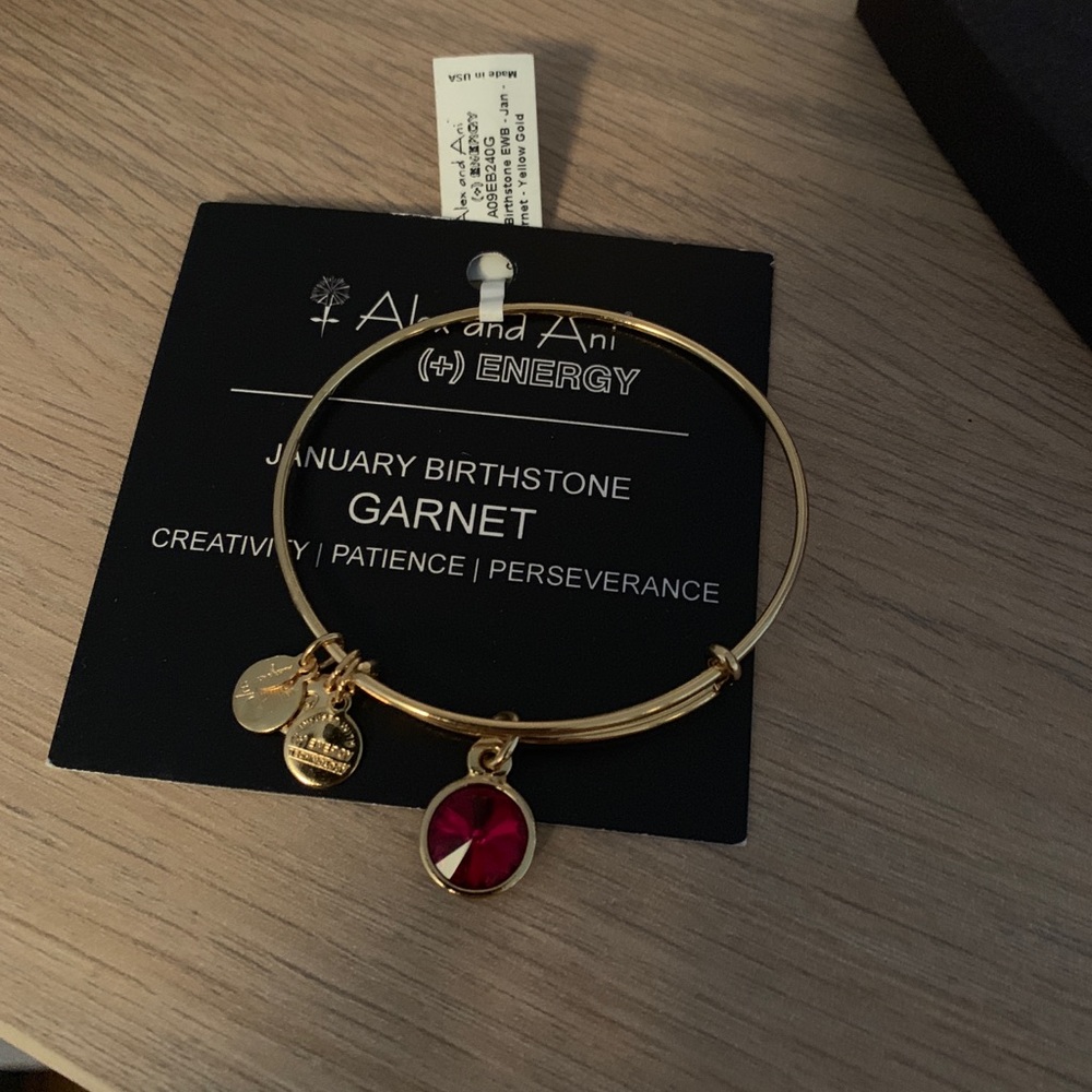 Alex and Ani January Garnet Birthstone bracelet